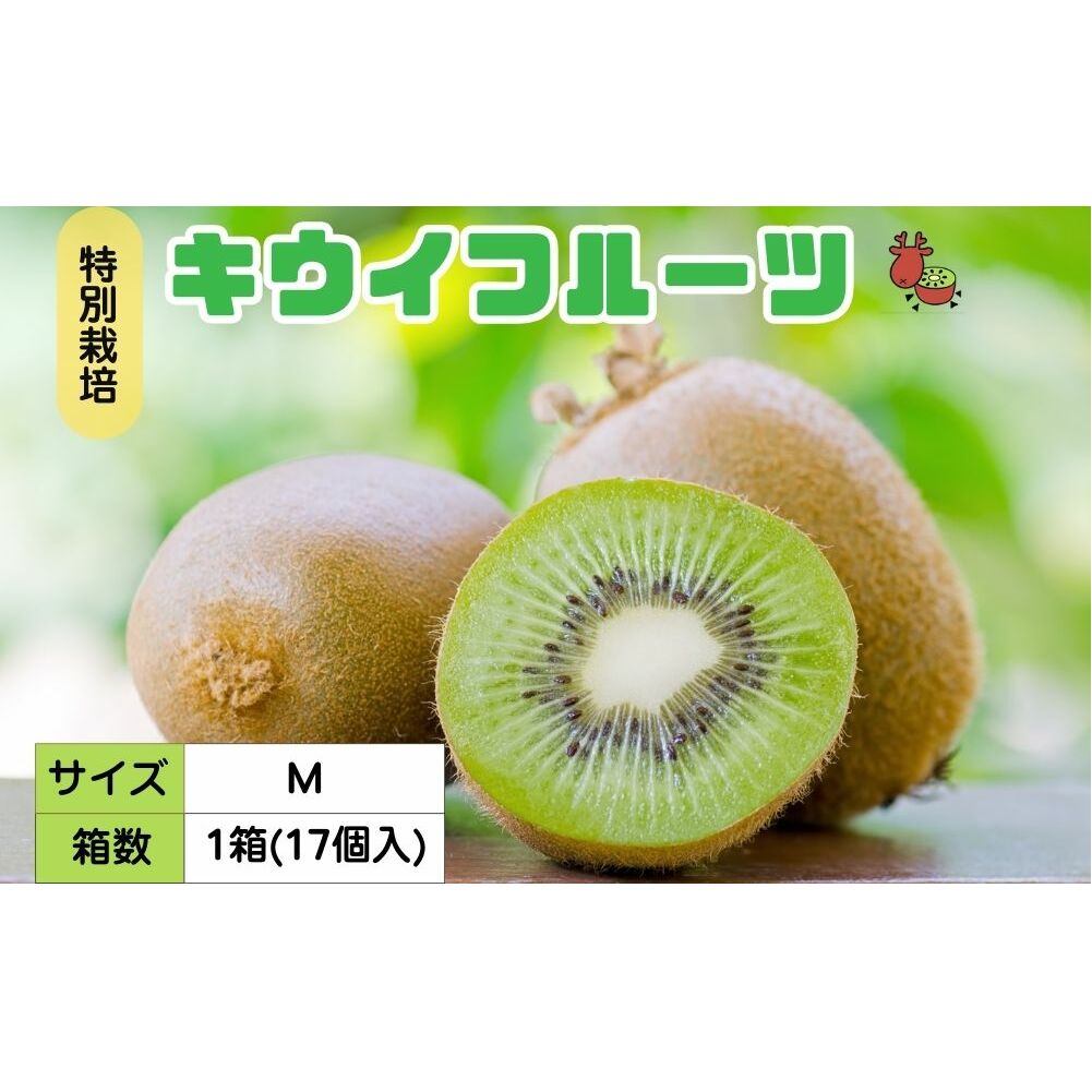 ＜2026年12月～3月順次発送＞プレミアム キウイ フルーツ Mサイズ 17個入 追熟処理済 ／ ふるさと納税 キウイ キウイフルーツ ギフト 栄養 果物 お土産 化学肥料不使用 特別栽培 塩 奈良