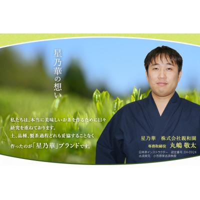 ふるさと納税 飯塚市 【毎月定期便】八女星野産 玉露ティーバッグ2.5g×100個【八女茶】全6回 |  | 01
