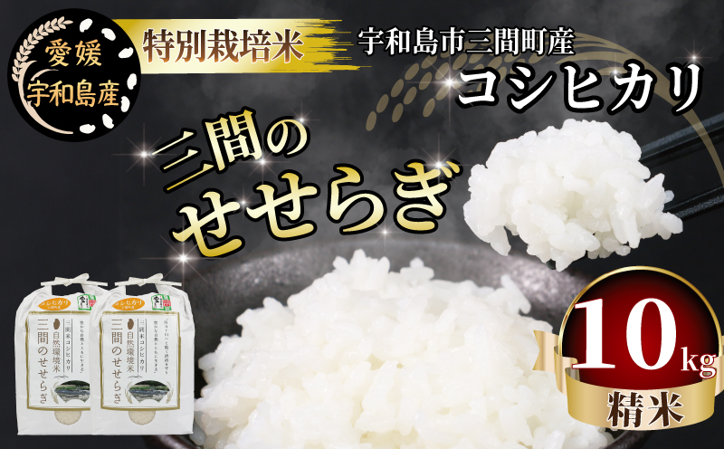 特別栽培米 新米 三間のせせらぎ 三間町産 コシヒカリ 10kg 渡辺農園 米 ごはん お弁当 おにぎり ブランド米 ふっくら ツヤツヤ 甘い 粘り 美味しい 農家直送 産地直送 数量限定 国産 愛媛 宇和島 G028-117002