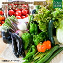 【ふるさと納税】【10ヶ月定期便】有機JAS認定 季節の野菜詰め合わせ～有機野菜セットB～ 15～18種類程度 おまかせ 詰め合わせ 農薬化学肥料不使用 朝どれ 新鮮野菜 安心 安全 国産 北海道 北広島市産 冷蔵 送料無料