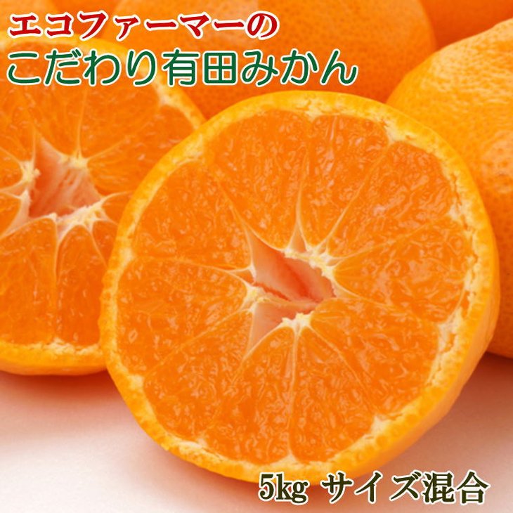 ZD92067_【2025年先行予約】エコファーマーのこだわり 有田みかん 5kg (サイズ混合・秀・優品)【数量限定】