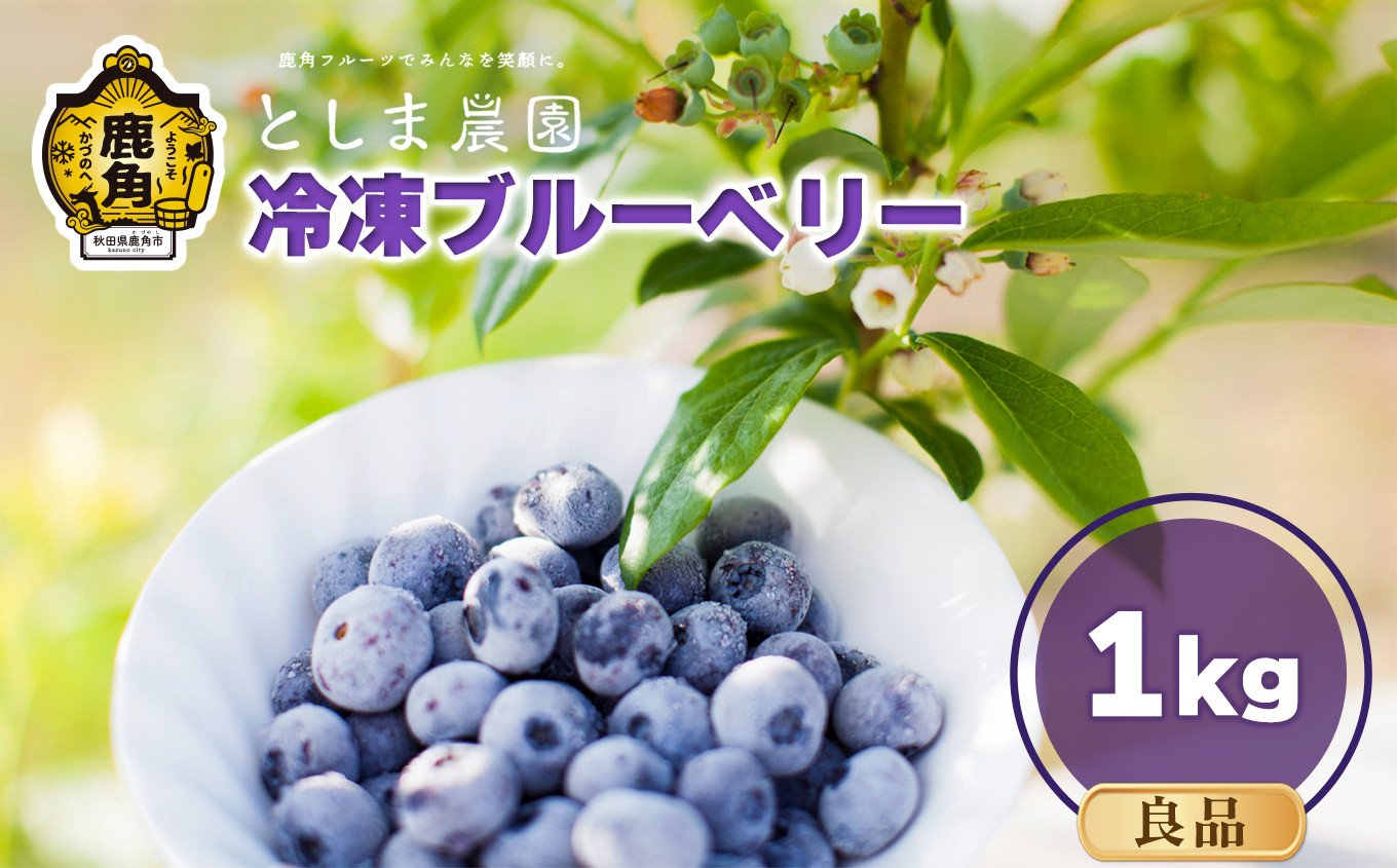
            冷凍ブルーベリー 良品 1kg（サイズMIX）【としま農園】旬 県産ブルーベリー 国産ブルーベリー お中元 お歳暮 お取り寄せ 母の日 父の日 グルメ ギフト 故郷 秋田 あきた 鹿角市 鹿角 送料無料
          