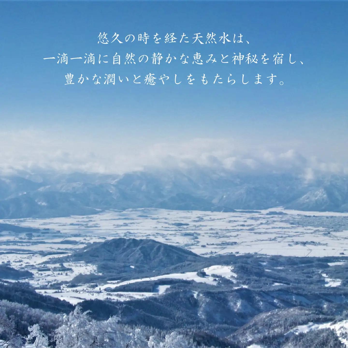 【12ヶ月連続お届け】越前大野の天然水　悠久のしずく PET2L 6本 計72本 天然水 天然水