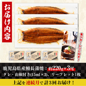 i1174-A ＜定期便・計3回(連続月)＞＼特大サイズ／鹿児島県産 うなぎ蒲焼 3尾セット＜（約220g×3・計約660g）×全3回＞ 定期便 たれ 山椒付きうなぎ 鰻 ウナギ 特大 特大サイズ 約