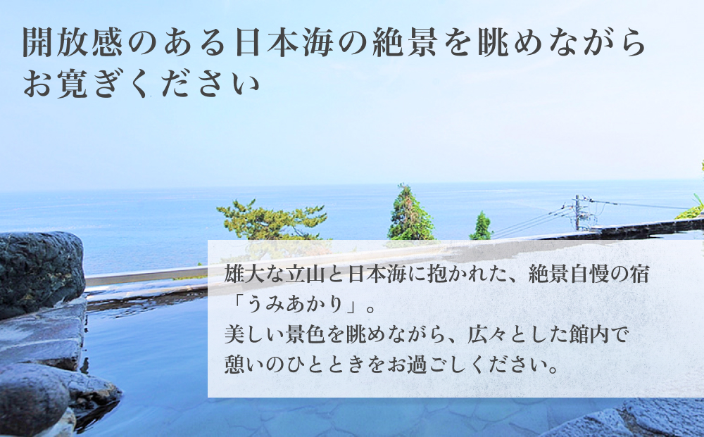 氷見温泉郷 くつろぎの宿 うみあかり 宿泊補助券 4万円分 富山県 氷見市 宿泊 利用補助 チケット 観光 旅行 宿泊券 クーポン 海鮮