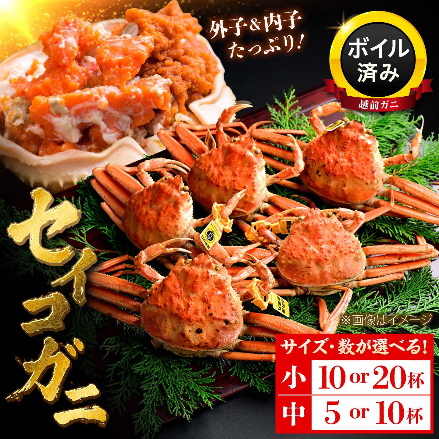 【ふるさと納税】【先行予約/11月7日より順次発送】せいこがに 香箱ガニ メスのズワイガニ 冷蔵 浜茹で 選べる 大小 福井県 / 内子 外子 蟹味噌 冬季限定 コッペガニ / 小浜市 / まるほ商店 【配送不可地域：北海道・沖縄・離島】[BFCS015] [BFCS016] [BFCS017] [BFCS077]