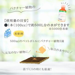 バクチャー植物【植物の栄養材】【1691055】
