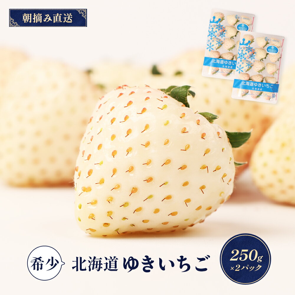 【ふるさと納税】【受注後、随時発送！】【北海道産】ゆきいちご（白いちご） 2Pセット 250g×2 計500g 苺 イチゴ 白いちご 一季成りイチゴ 希少 高級 ギフト お取り寄せ ふるさと納税 北海道 中標津【59001】
