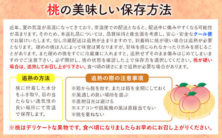 【産直・人気の特産品】和歌山の桃 約1.5kg 厳選館《2024年6月中旬-8月中旬より出荷》和歌山県 日高川町 果物 フルーツ 桃 もも 送料無料【配送不可地域あり】|桃桃桃桃桃桃桃桃桃桃桃桃桃桃桃