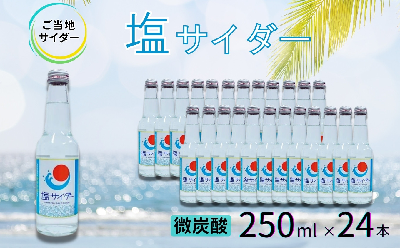 
                  塩サイダー 250ml瓶×24本 / サイダー 炭酸 ジュース ご当地 / 佐賀県 / 小松飲料株式会社 [41ABAM007]
                