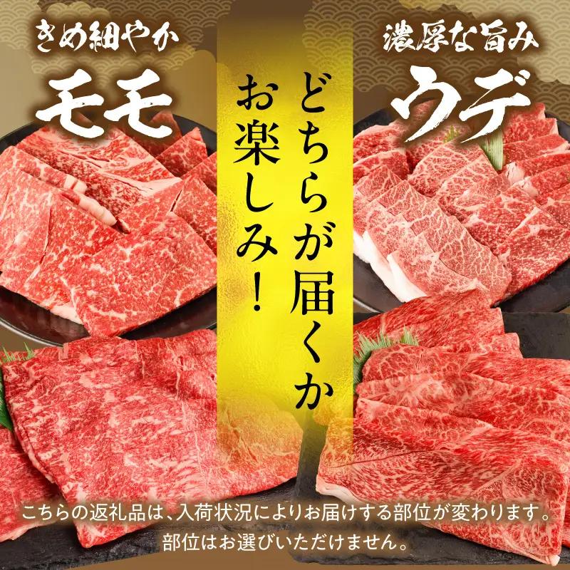 牛肉 赤身 牛肉[宮崎牛 ウデ・モモ 焼肉 500g]