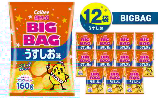 カルビー ポテトチップス BIGBAG【うすしお】12袋　K194-002_04