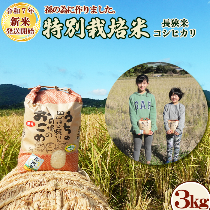 《令和７年産 新米》孫のために作りました！田代農園の『特別栽培米』《玄米》 ３kg　[0020-0097]