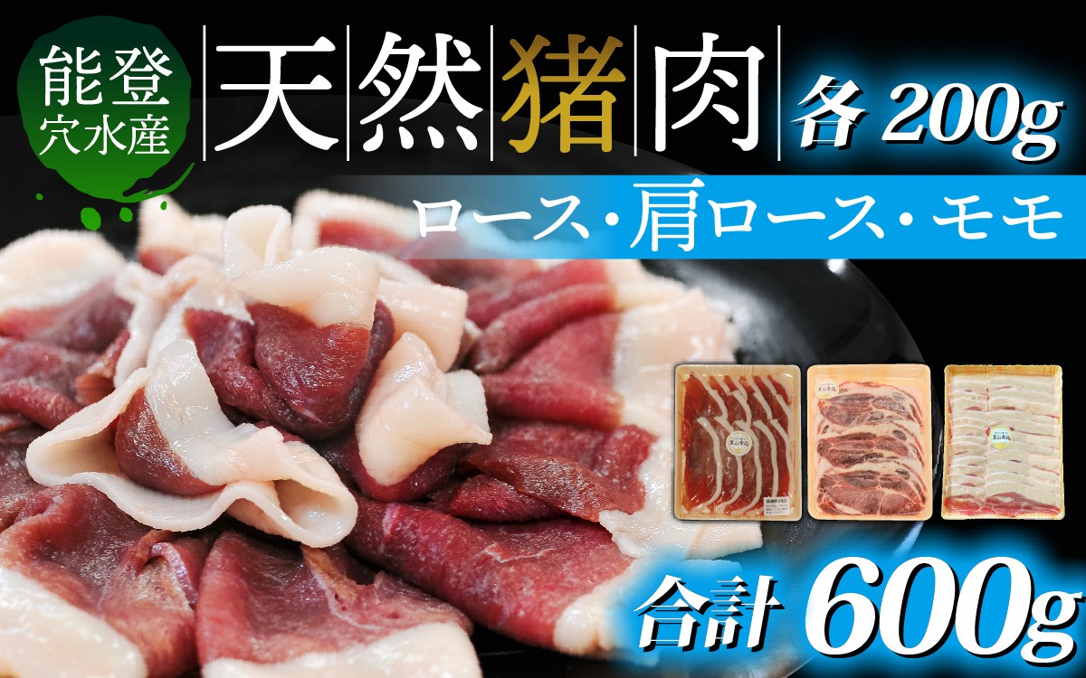 
            今話題のジビエ！奥能登穴水町産 天然 猪肉セット 600g 冷凍発送
          