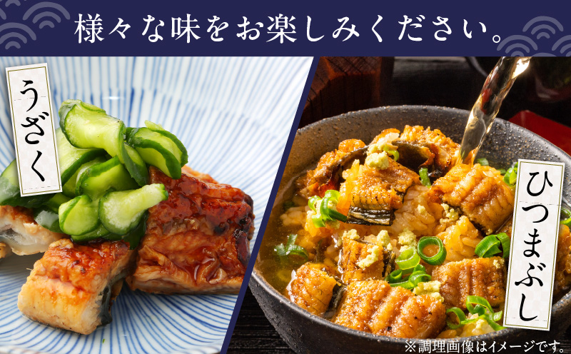 【母の日】国産うなぎ 大サイズ 180g×1尾 タレ 山椒付き 有頭 炭火 蒲焼 099H2332m