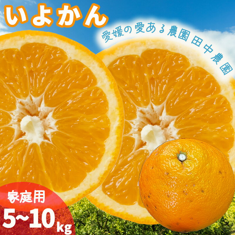 【ふるさと納税】 【2027年1月上旬頃から順次発送】伊予柑 いよかん 約5~10kg 家庭用 柑橘類 先行予約 フルーツ 柑橘類 先行予約 果物 フルーツ みかん イヨカン 宮内伊予柑 人気 おすすめ 愛媛 松山 田中農園