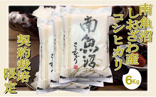 
            【令和7年産】【精米6Kg】契約栽培限定 南魚沼しおざわ産コシヒカリ【2025年10月上旬より順次発送予定】
          