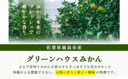C-2【先行予約】 グリーンハウスみかん　5ｋｇ【2025年7月中旬～8月末まで発送予定】みかん 蜜柑 ミカン ハウスみかん フルーツ 果物 くだもの 果実 冷蔵 フレッシュ 美味しい 人気 ビタミン