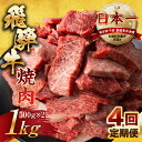 【ふるさと納税】【訳あり】定期便 飛騨牛 焼肉 切り落とし 500g × 2 計 1kg 4回お届け | 定期便 お楽しみ 牛肉 肉 切落し 和牛 国産牛 黒毛和牛 牛肉 肉 わけあり ワケアリ 不揃い 小分け 冷凍 本巣市 トキノ屋 食品 訳有 [mt440] 100000円