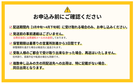 3Z4 暖家のいちご 完熟あまおう 3月以降発送 (約275ｇ×4パック）