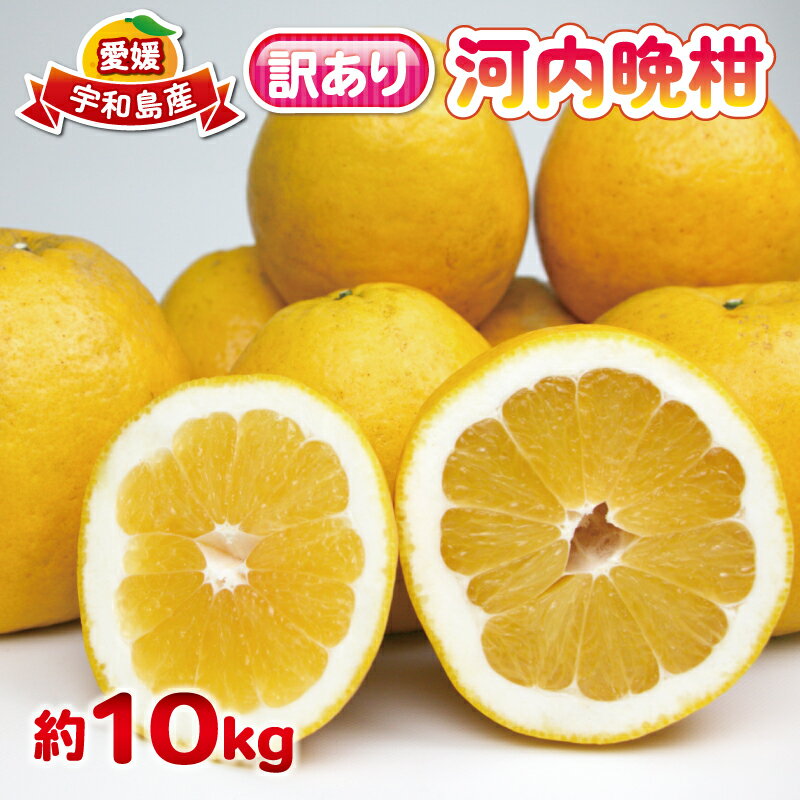 【ふるさと納税】 愛媛みかん 訳あり 河内晩柑 10kg 杉本屋 ジューシー 爽やか わけあり かわちばんかん 愛媛県産 果物 フルーツ 柑橘 みかん mikan 蜜柑 和製 グレープフルーツ 愛媛蜜柑 愛媛ミカン ミカン 特産品 数量限定 産地直送 国産 愛媛 宇和島 B010-143001