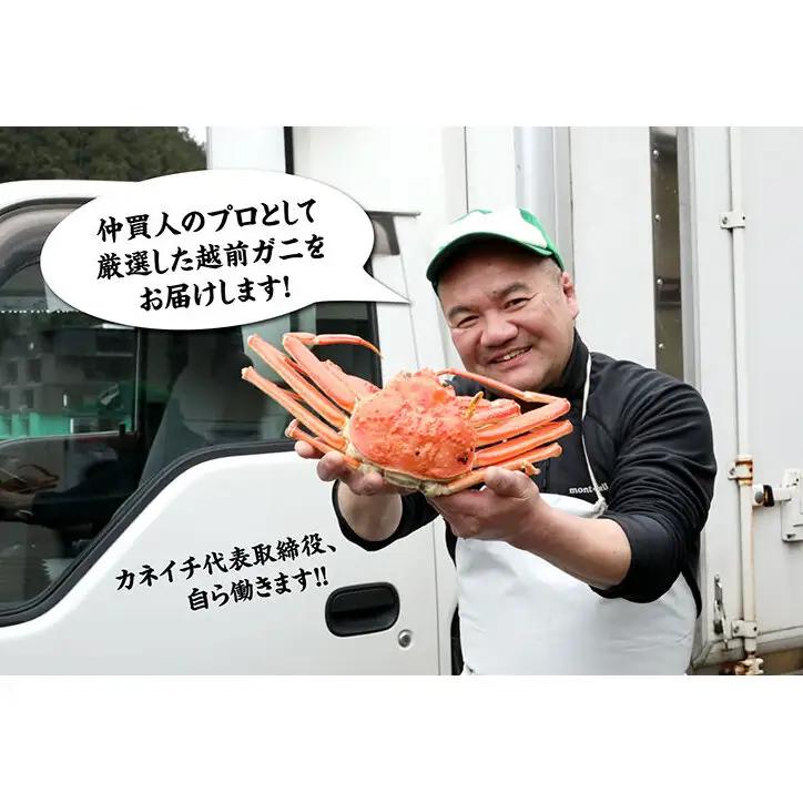 【1月出荷】かに 越前ガニ 訳あり 1本足折れ 600g～800g ボイル  茹で 越前がに 越前かに ずわいがに ズワイガニ カニ 姿  蟹鍋 献上ガニ 産地直送 お歳暮 福井県おおい町 ギフト