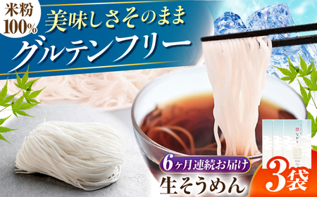 【6回定期便】 【グルテンフリー】 細くてもしっかりコシ！ 米粉生そうめん グルテンフリー そうめん 米粉 岐阜市 / 小林生麺[ANGM021]