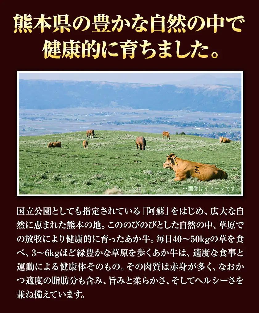 あか牛切り落とし 1.1kg(275g×4パック) 焼肉用カルビ切り落とし 《30日以内に出荷予定(土日祝除く)》肉 牛肉 切り落とし 国産牛 切落とし ブランド牛 すき焼き スライス カレー 焼肉 