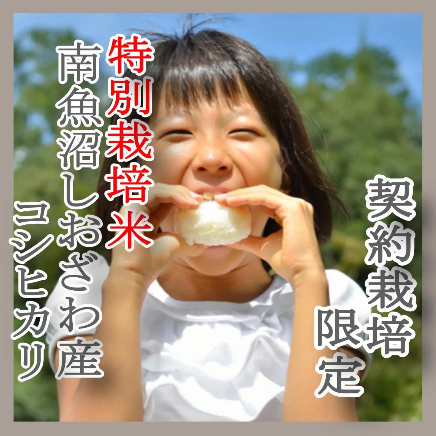 【令和7年】※定期便：8Kg×6ヶ月※特別栽培 生産者限定  南魚沼しおざわ産コシヒカリ｜こしひかり