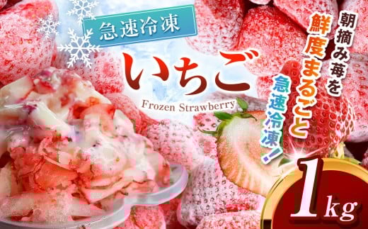 冷凍いちご ( とちあいか ) 1kg  | とちあいか いちご イチゴ 朝摘み 冷凍 ジャム カクテル スムージー フルーツ 苺 新鮮  ふるさと納税 日本一 栃木県 真岡市 送料無料 6000円