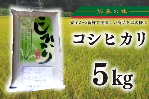 【令和7年産新米】コシヒカリ　5kg【新米 安心 美味しい お米 おにぎり 茨城県 北茨城市】(BD102)