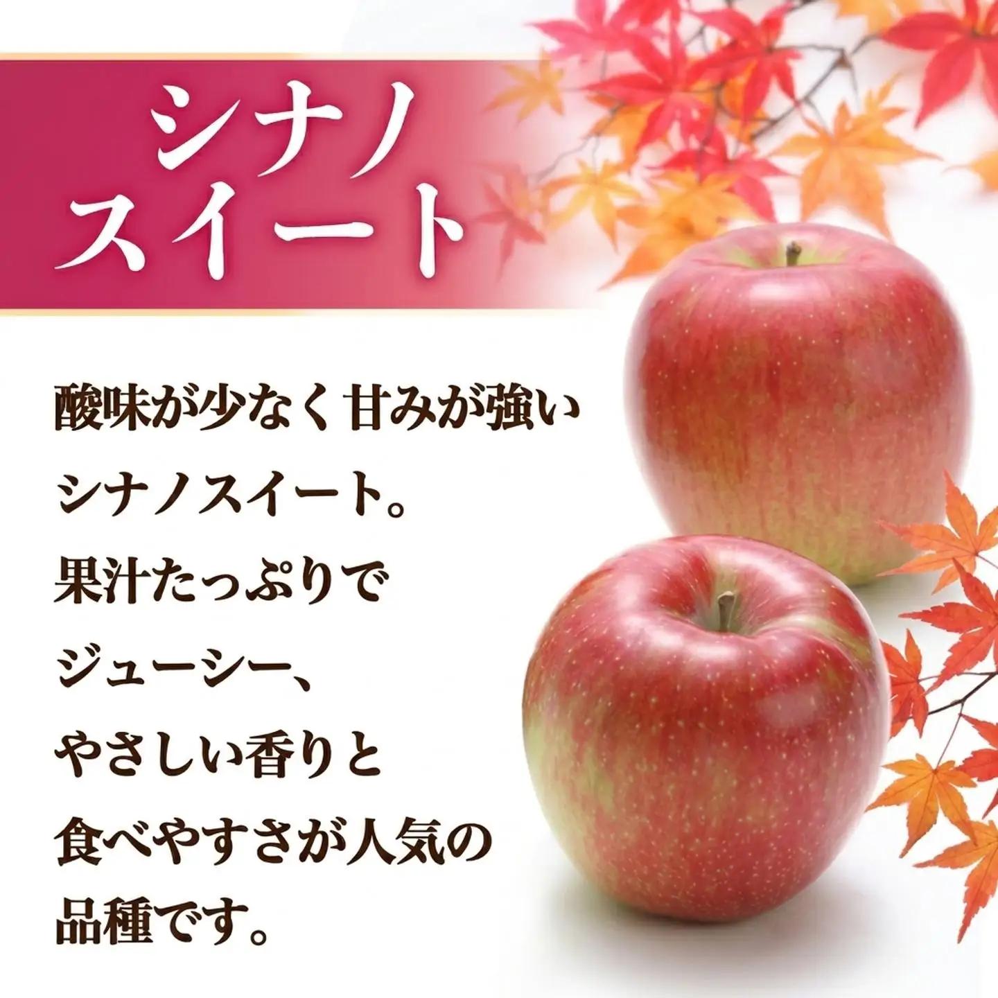 りんご シナノスイート 約5kg りんご 家庭用