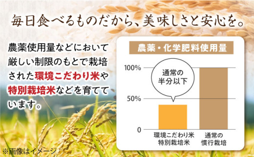 特別栽培米 コシヒカリ 5kg ×2・環境こだわり米 ミルキークイーン 5kg (計15kg）米 お米 白米  15kg 人気