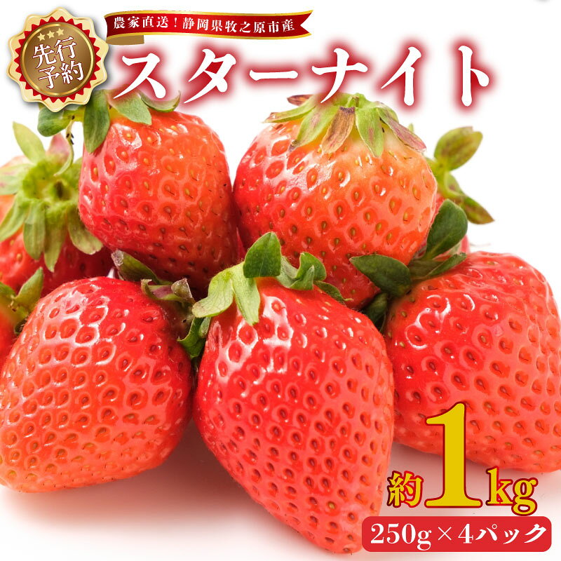 【ふるさと納税】 いちご スターナイト 1kg 2027年2月上旬発送予定 250g × 4パック 産地直送 フルーツ 苺 果物 ストロベリー 国産 高級 贈答用 ギフト 旬 新鮮 完熟 季節限定 農家直送 家庭用 先行予約 牧之原いちご 静岡いちご 牧之原苺 静岡苺 牧之原市 静岡県 ヤマセン