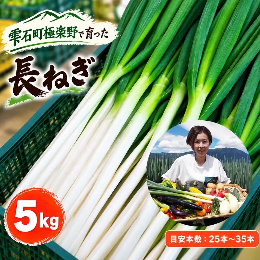 雫石町極楽野 長ねぎ 5kg以上（目安本数：約25本～35本）土なし｜新鮮野菜を産地直送！「高橋農園」