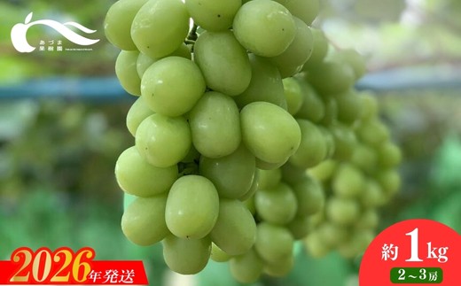 
            No.2331ぶどう（シャインマスカット）（約1kg）【2026年発送　先行予約】
          