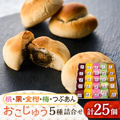 ふるさと納税 あきる野市 おこじゅう詰め合わせ(25個入)【お茶ぞっぺの中島屋(あきる野の匠)】