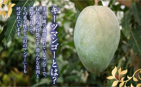 【2025年発送】<優品>幻のキーツマンゴー約1kg(化粧箱)1玉~2玉