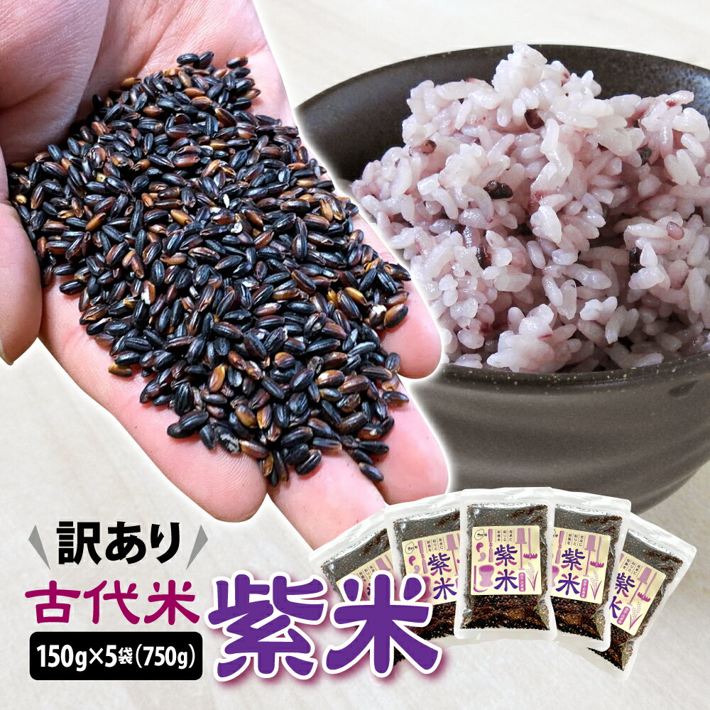 【ふるさと納税】訳あり 古代米 紫米 150g×5袋 計750g 小分け セット 黒米 紫黒米 玄米 ご飯 もち米 国産 ふるさと納税 スーパーフード アントシアニン 栄養 健康 美容 生活習慣予防 栄養 おにぎり 弁当 カレー 送料無料 岩手県 一関市 ＜時間指定不可＞