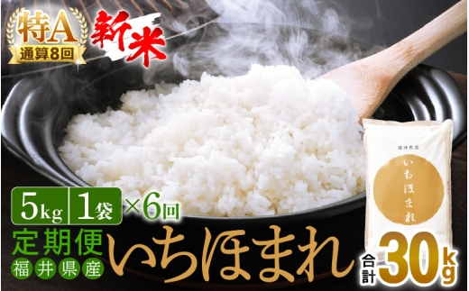 【新米】令和8年産 定期便 6回 いちほまれ 5kg × 6回（計30kg）福井県産 特A通算8回！【お米 コメ kome 6ヶ月連続 計30キロ 精米 白米】 [e27-f011]