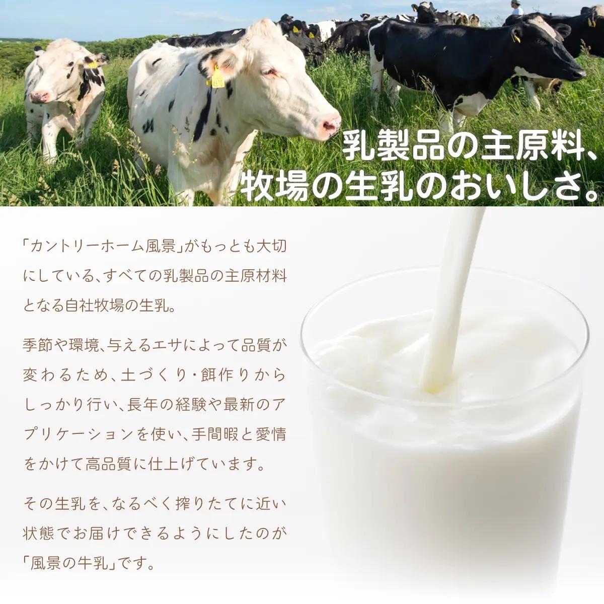 風景の牛乳 900ml ×6 SKB067