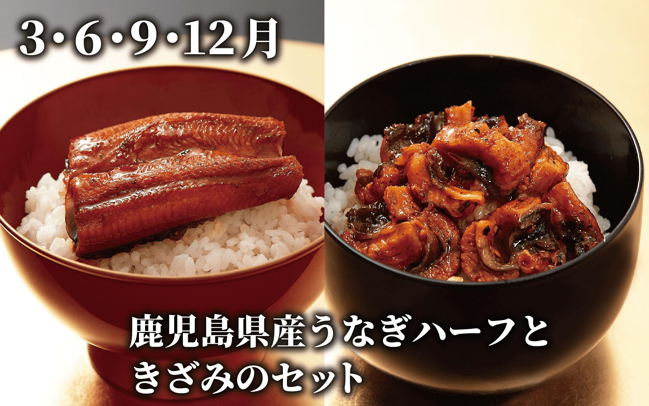 【全３回定期便】鹿児島県産牛・豚・鰻バラエティ定期便(Z055-1731) 牛 豚 鰻 牛肉 豚肉 肉 うなぎ 国産 鹿児島県産 鹿児島産 セット 頒布会 定期 ステーキ しゃぶしゃぶ 蒲焼 すき焼 