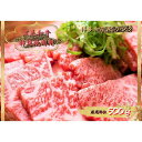 【ふるさと納税】博多和牛焼肉用 500g | 肉 牛肉 お肉 肉 お取り寄せ 冷凍 九州 福岡県 大川市 グルメ ご当地