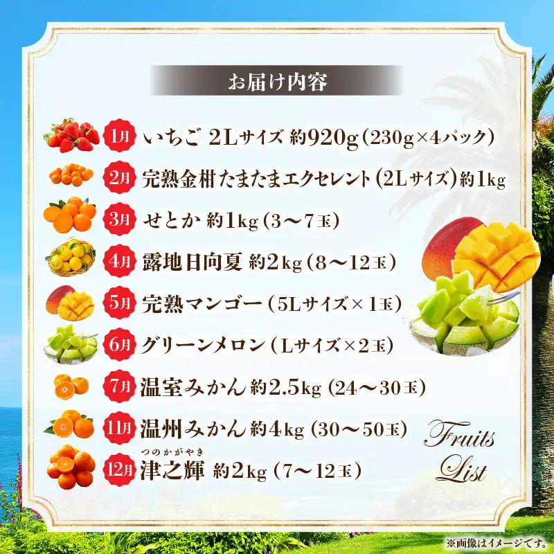 フルーツ 定期便 フルーツ[9ヶ月定期便 vol.1 特選 数量限定 期間限定]