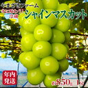 【ふるさと納税】【年内発送】冬に味わう！冷蔵シャインマスカット 約850g (1房) 《やまざきファーム》■2024年発送■※12月上旬頃～12月下旬頃まで順次発送予定 フルーツ 果物 葡萄 ブドウ ぶどう シャインマスカット