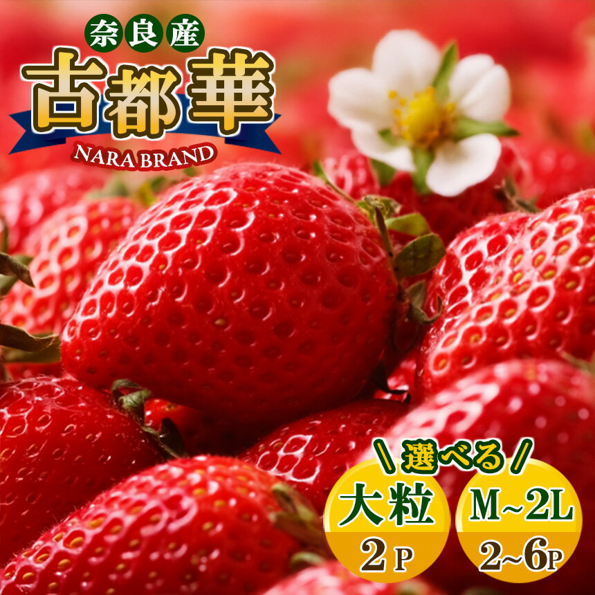 【ふるさと納税】選べる内容量！平群の古都華 いちご （M～5Lサイズ）大粒あり | 果物 くだもの フルーツ 苺 イチゴ いちご ストロベリー 古都華 ことか 旬の品種 奈良県 平群町