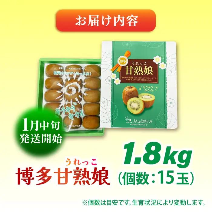 【先行予約 2027年1月中旬より発送】博多甘熟娘(うれっこ) ヘイワードキウイ 約1.8kg（15玉）/ 果物[AFAB076]