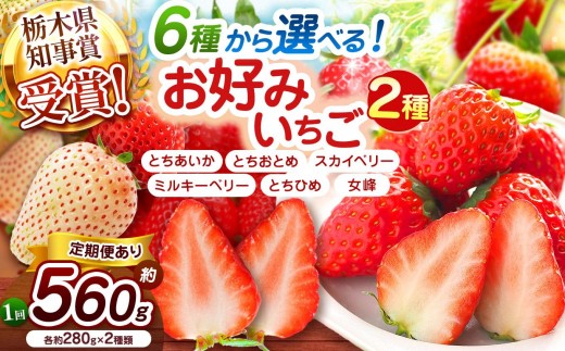 
                  【2027年先行予約】いちご 食べ比べ 選べる6種 280g×2P（とちあいか とちおとめ スカイベリー ミルキーベリー とちひめ 女峰）
                