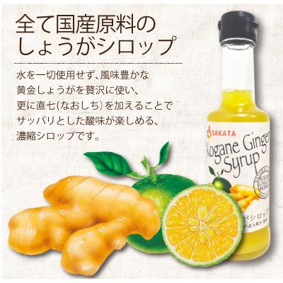 ふるさと納税 香美市 ジンジャーシロップ200ml　3本セット |  | 02