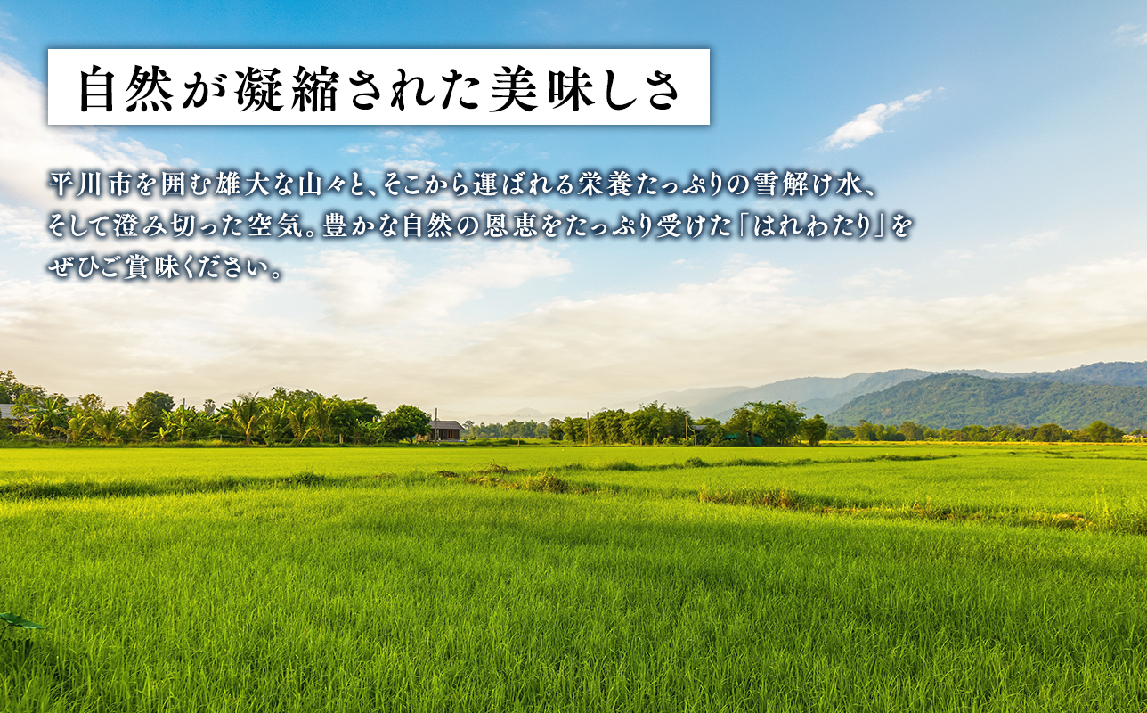 【寄附金額を見直しました】≪令和8年産 先行予約≫12月中旬よりお届け! 　【3カ月定期便】特別栽培米 はれわたり白米10kg(5㎏×2袋)×3回【青森県 平川市】先行予約 米 お米 玄米 青森県産 